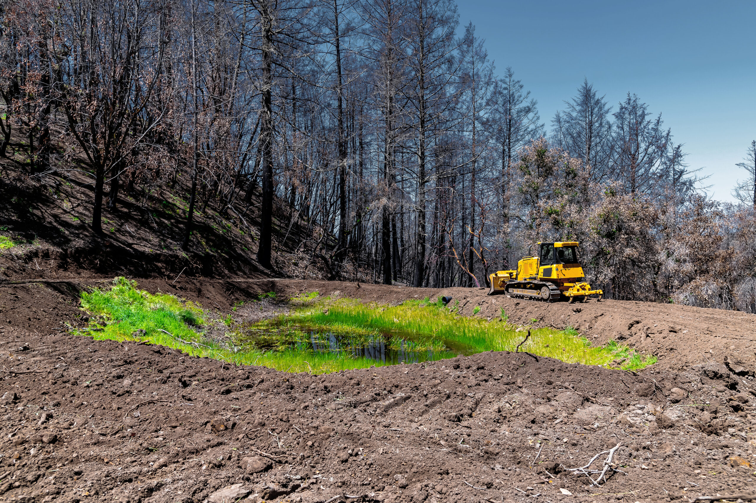 Yellow bulldozer on a dirt path next to a small pond.