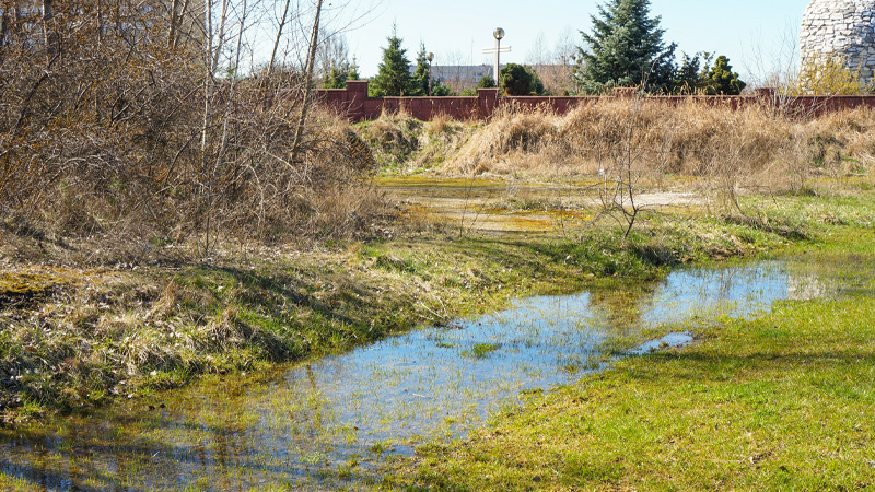 Grassy field with standing water near a brown fence line.