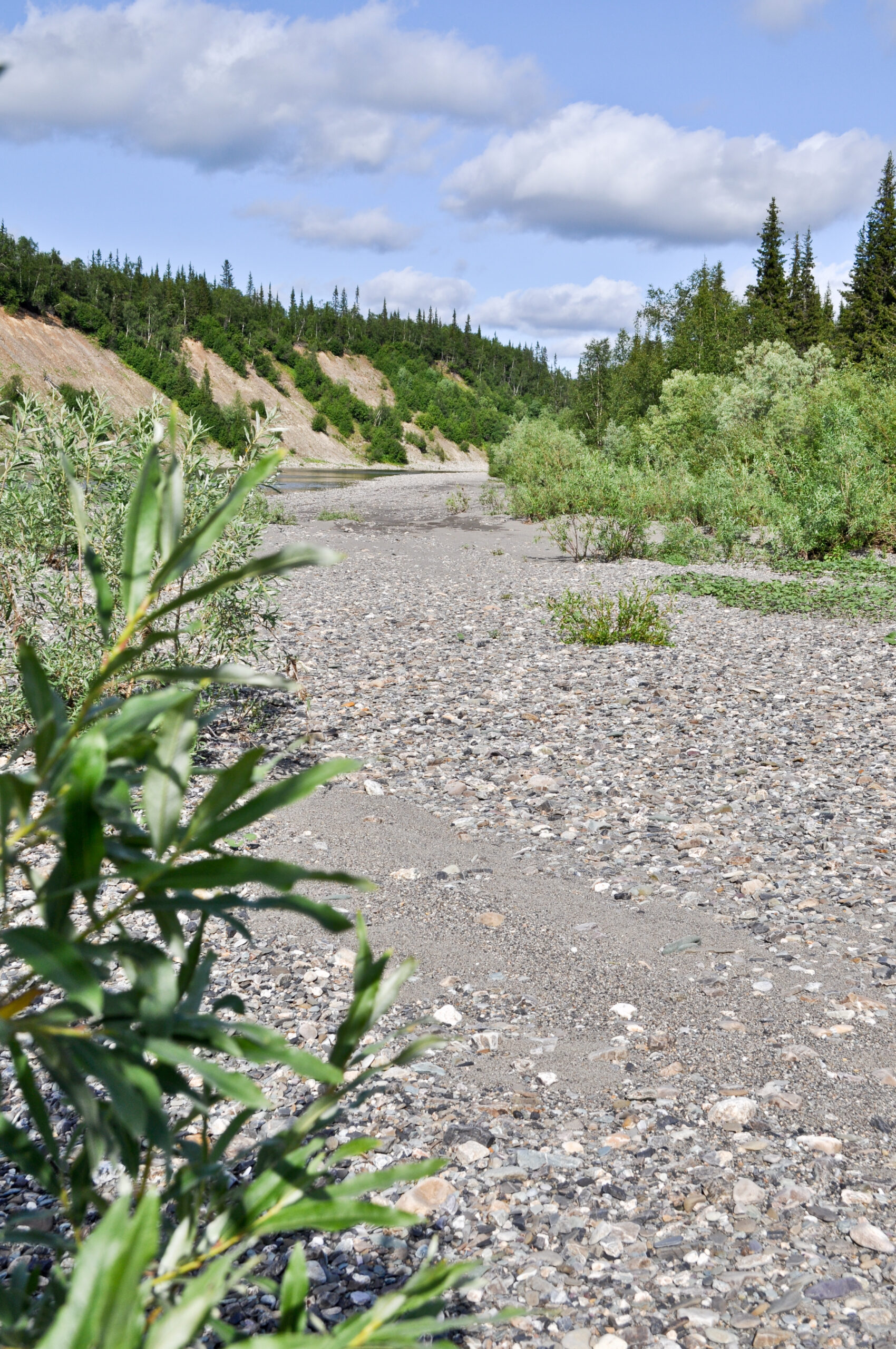 Dry riverbed of grey stones leading to a forested hillside.